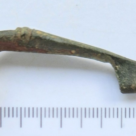 Fibula (2023)